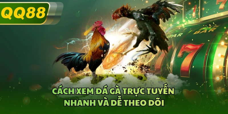 Cách xem đá gà trực tuyến nhanh và dễ theo dõi
