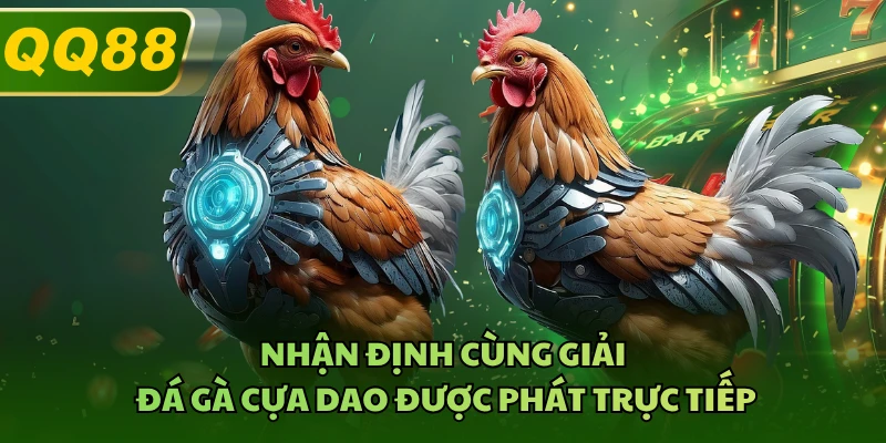 Nhận định cùng giải đá gà cựa dao được phát trực tiếp
